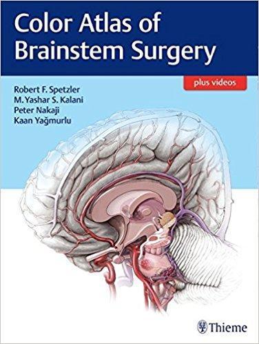 Color Atlas of Brainstem Surgery 2017 - نورولوژی